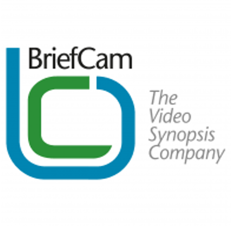 Briefcam